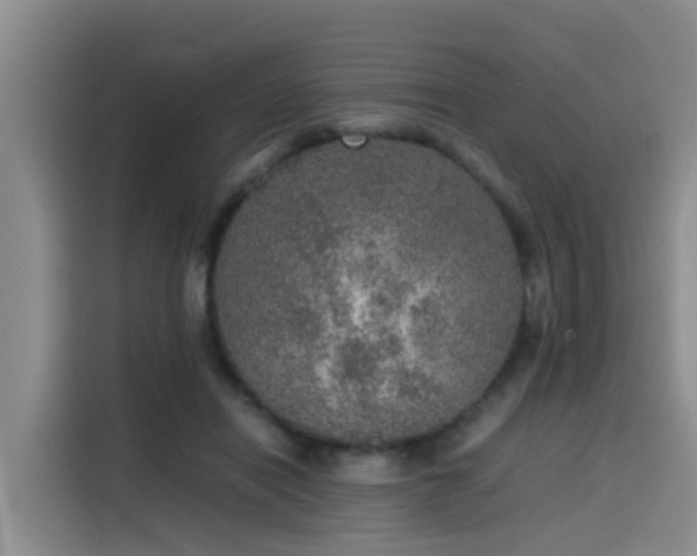 X0000115580454200911171013