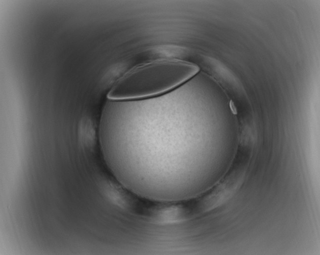 X0000115580456200911171013