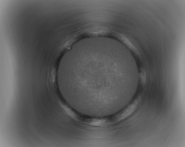 X0000115580458200911171013