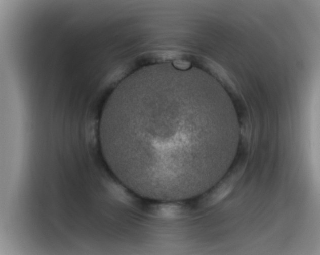 X0000115580462200911171013