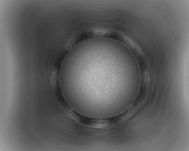 X0000115580463200911171013