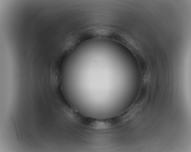 X0000115580464200911171013