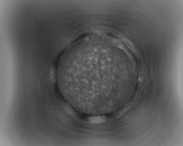 X0000115580465200911171013