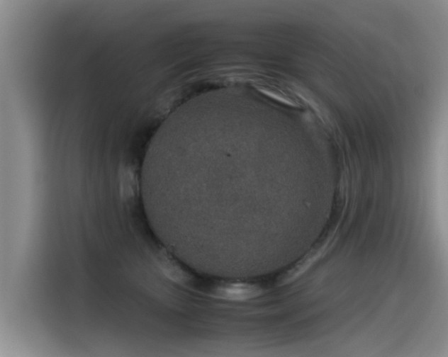 X0000115580467200911171013