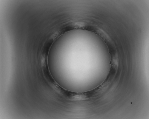 X0000115580468200911171013