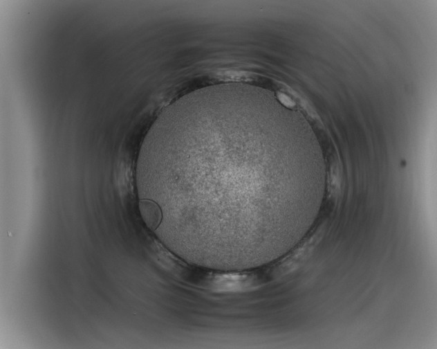 X0000115580473200911171013