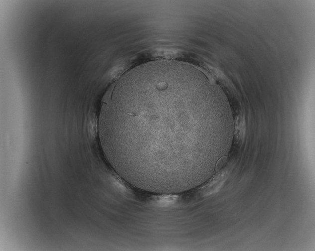 X0000115580474200911171013