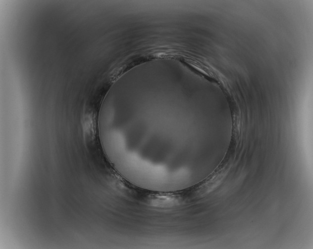 X0000115580475200911171013