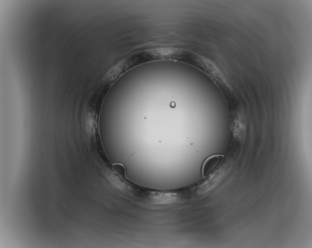 X0000115580476200911171013