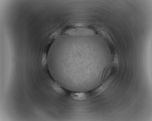 X0000115580478200911171013