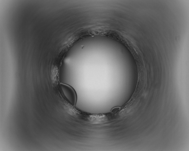 X0000115580480200911171013