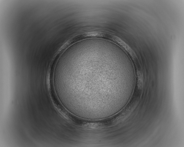 X0000115580482200911171013