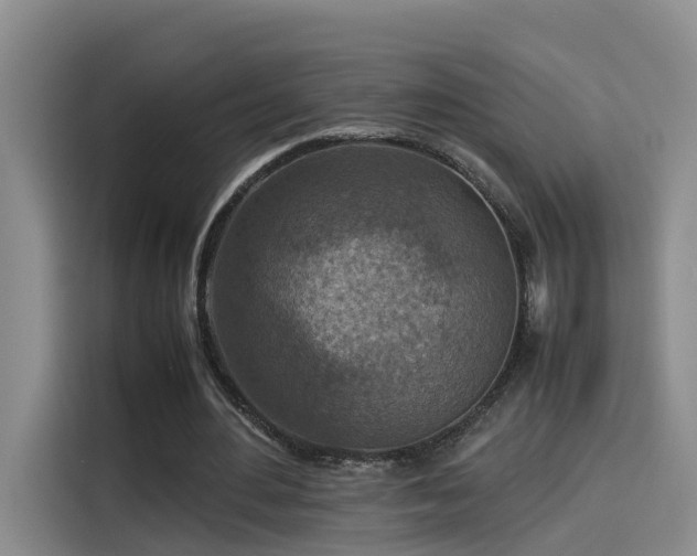 X0000115580484200911171013