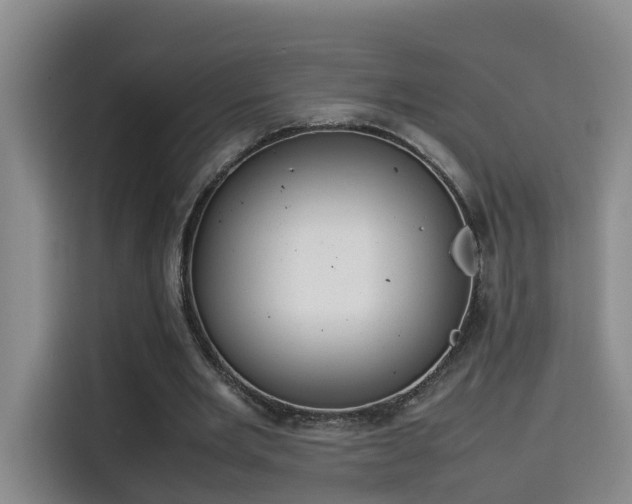 X0000115580485200911171013