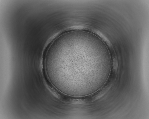 X0000115580486200911171013