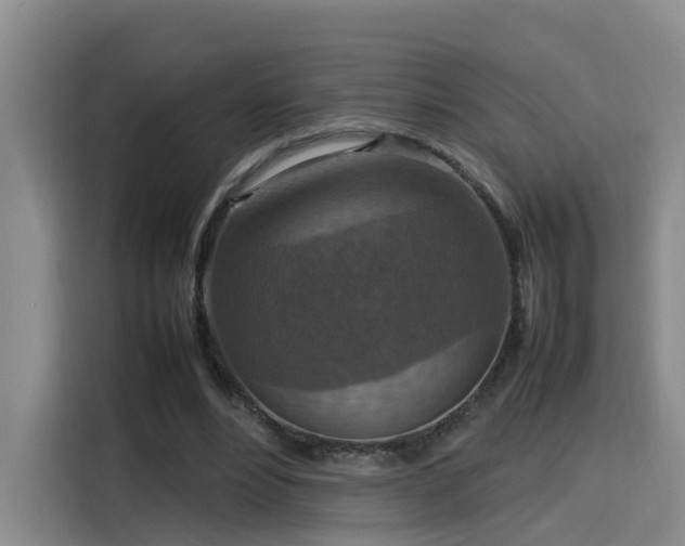 X0000115580488200911171013