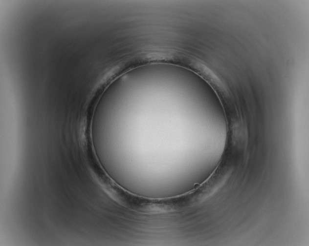 X0000115580490200911171013