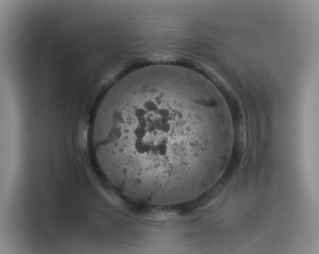 X0000115580491200911171012