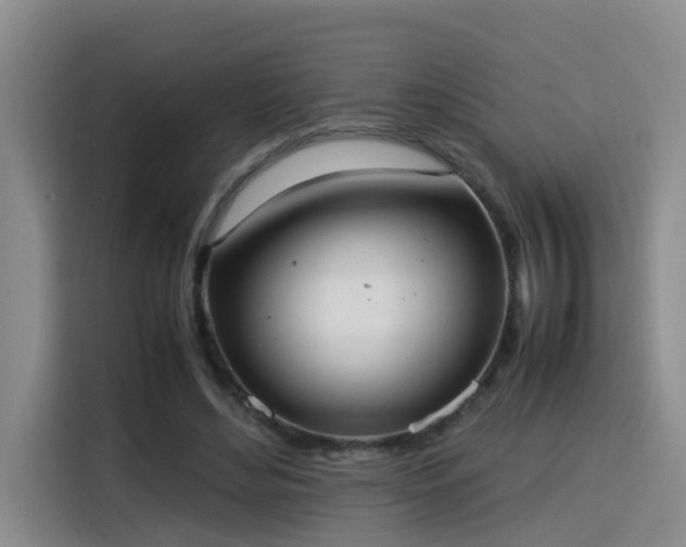 X0000115580492200911171012