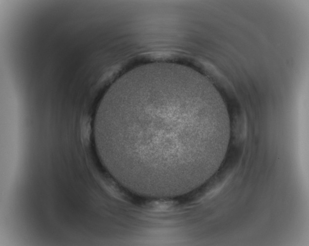 X0000115580495200911171012