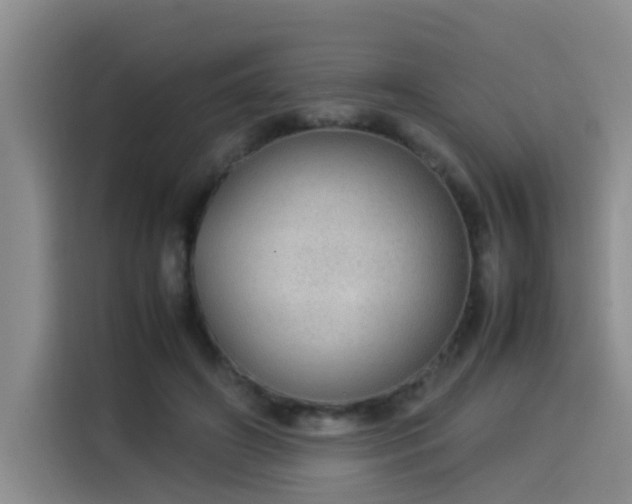 X0000115580498200911171012