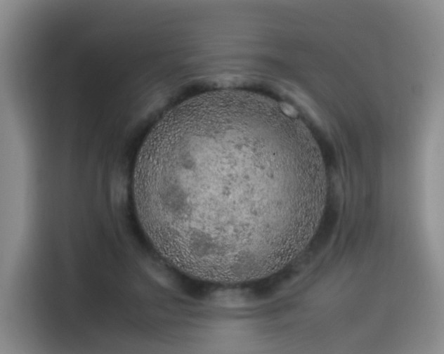 X0000115580499200911171012