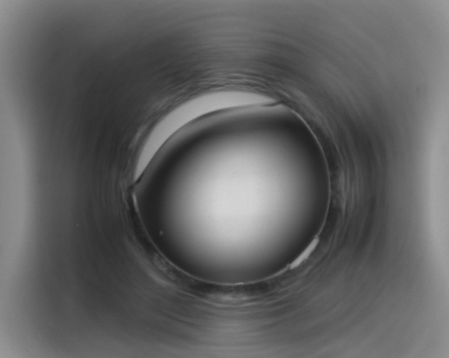 X0000115580500200911171012