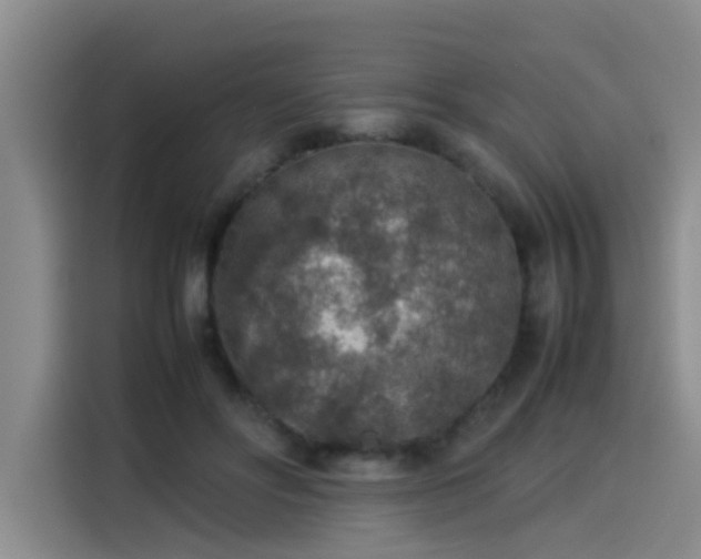 X0000115580502200911171012