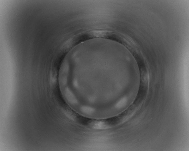 X0000115580507200911171012