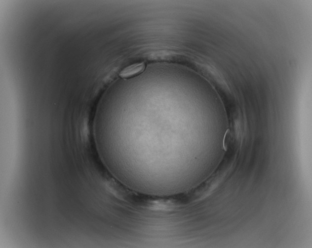 X0000115580508200911171012