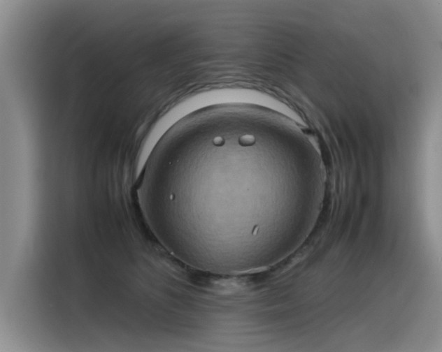 X0000115580516200911171012