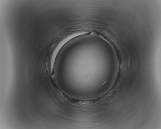 X0000115580520200911171012