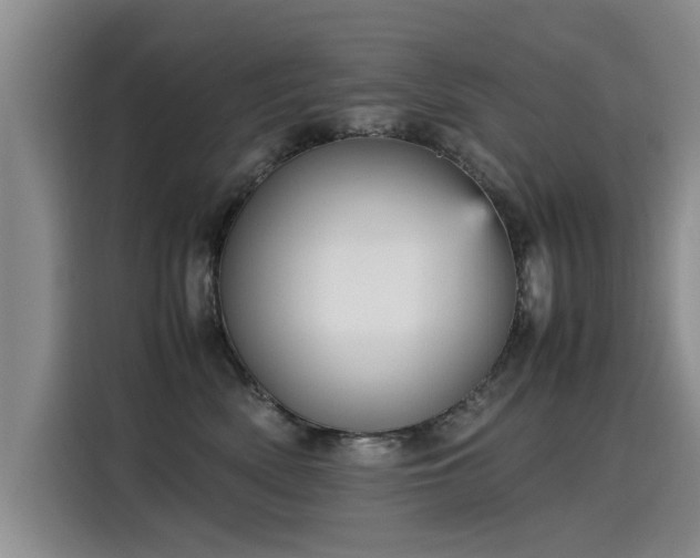 X0000115580522200911171012