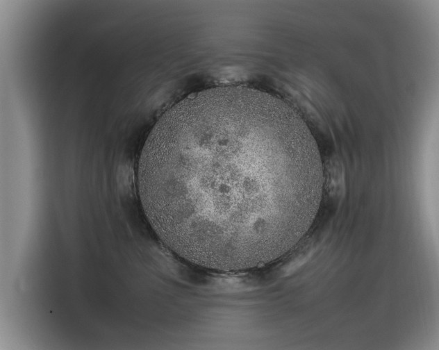 X0000115580523200911171012