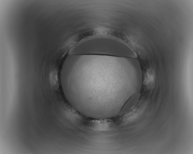 X0000115580524200911171012