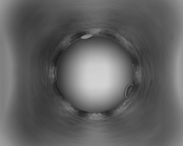 X0000115580525200911171012