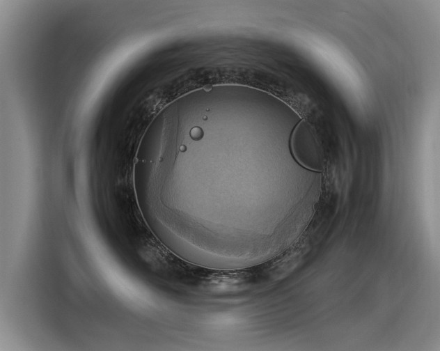 X0000115580526200911171012