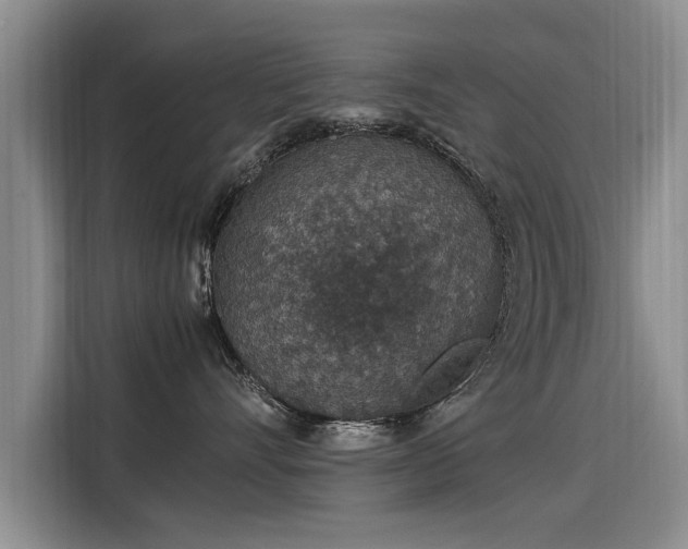 X0000115580528200911171012