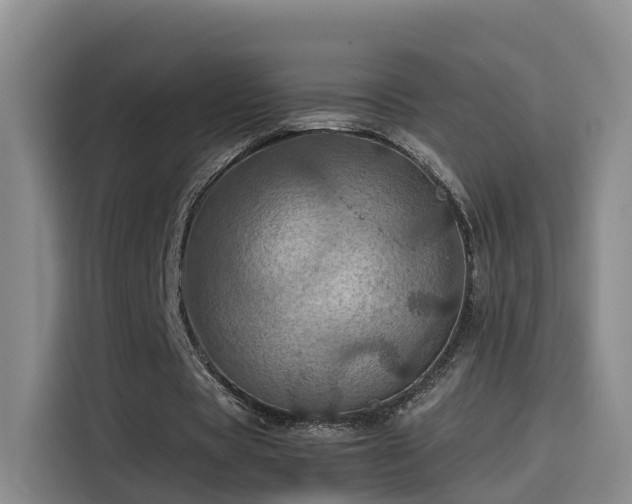 X0000115580529200911171011