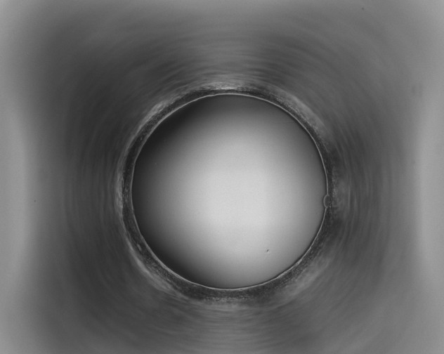 X0000115580530200911171011