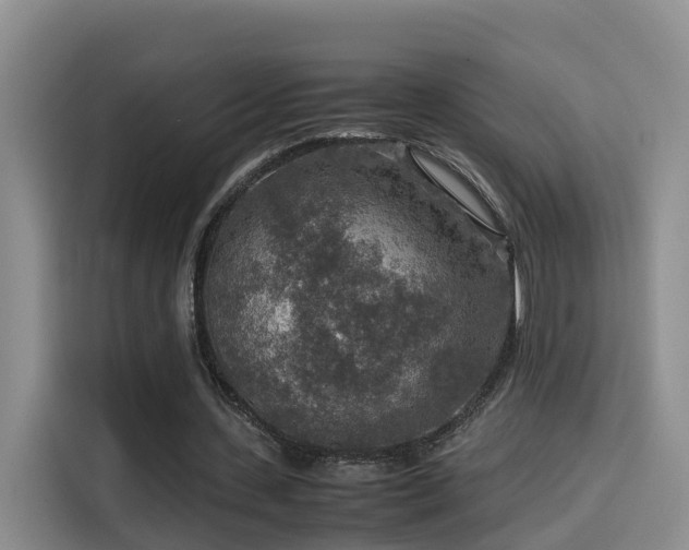 X0000115580531200911171011