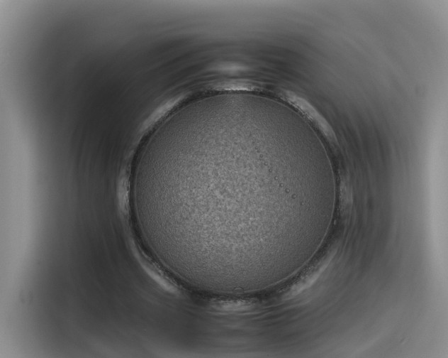 X0000115580533200911171011