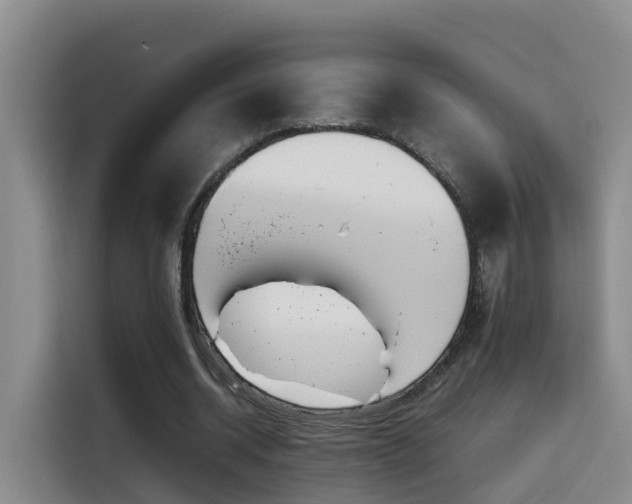 X0000115580534200911171011