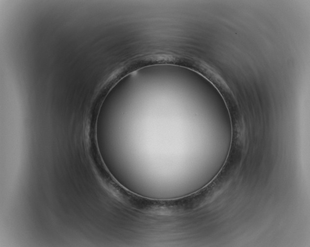 X0000115580538200911171012