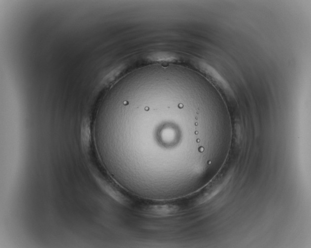 X0000115580541200911171012