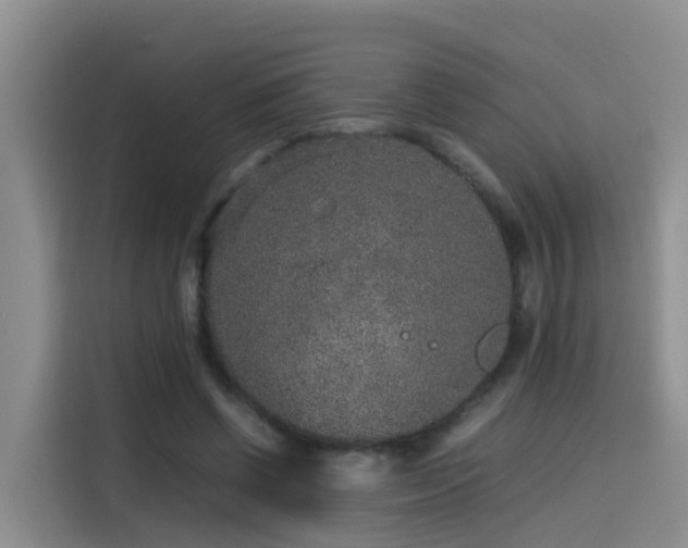 X0000115580542200911171012