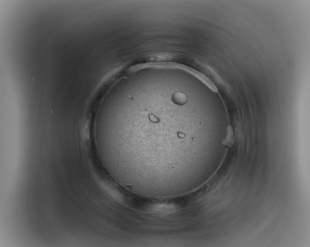 X0000115580543200911171012