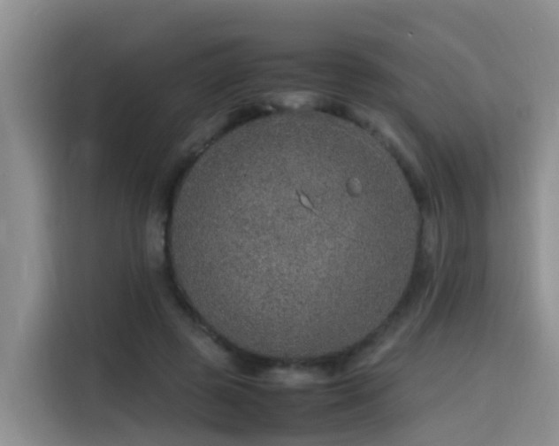 X0000115580545200911171012