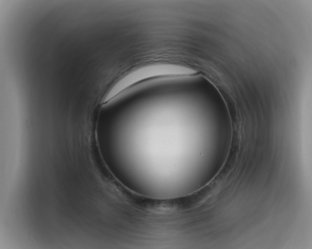 X0000115580546200911171012