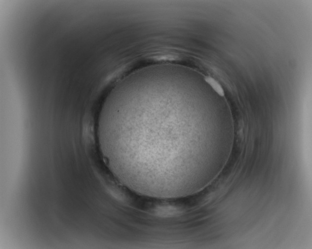 X0000115580547200911171012